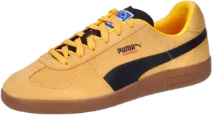 PUMA Men's Soccer Indoor Court Shoe